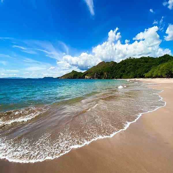 A Taste Of Costa Rica