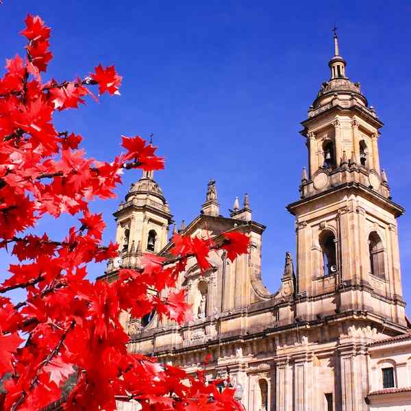 Best of Colombia and the Coffee Triangle