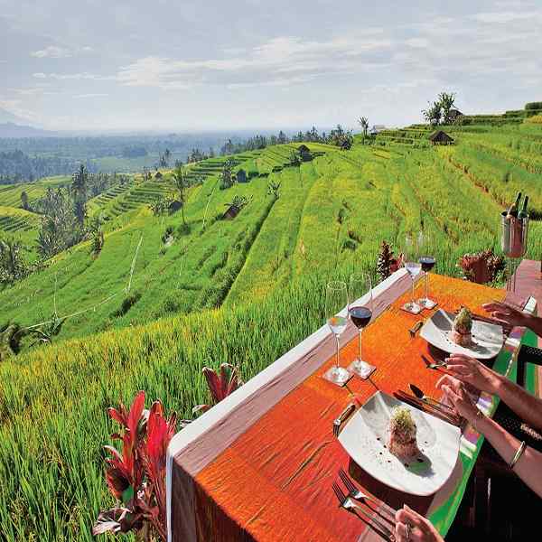 Bali Lifestyle And Retreat