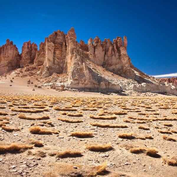 Best Of Chile