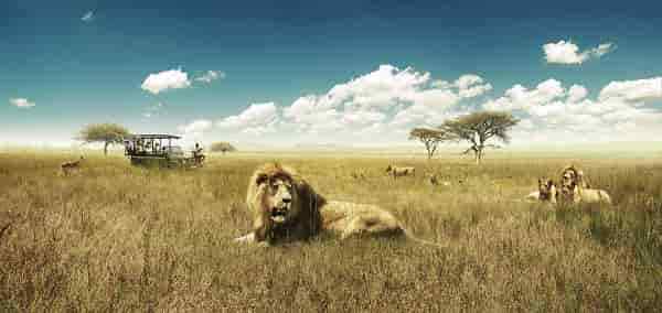 Super South Africa and Dubai